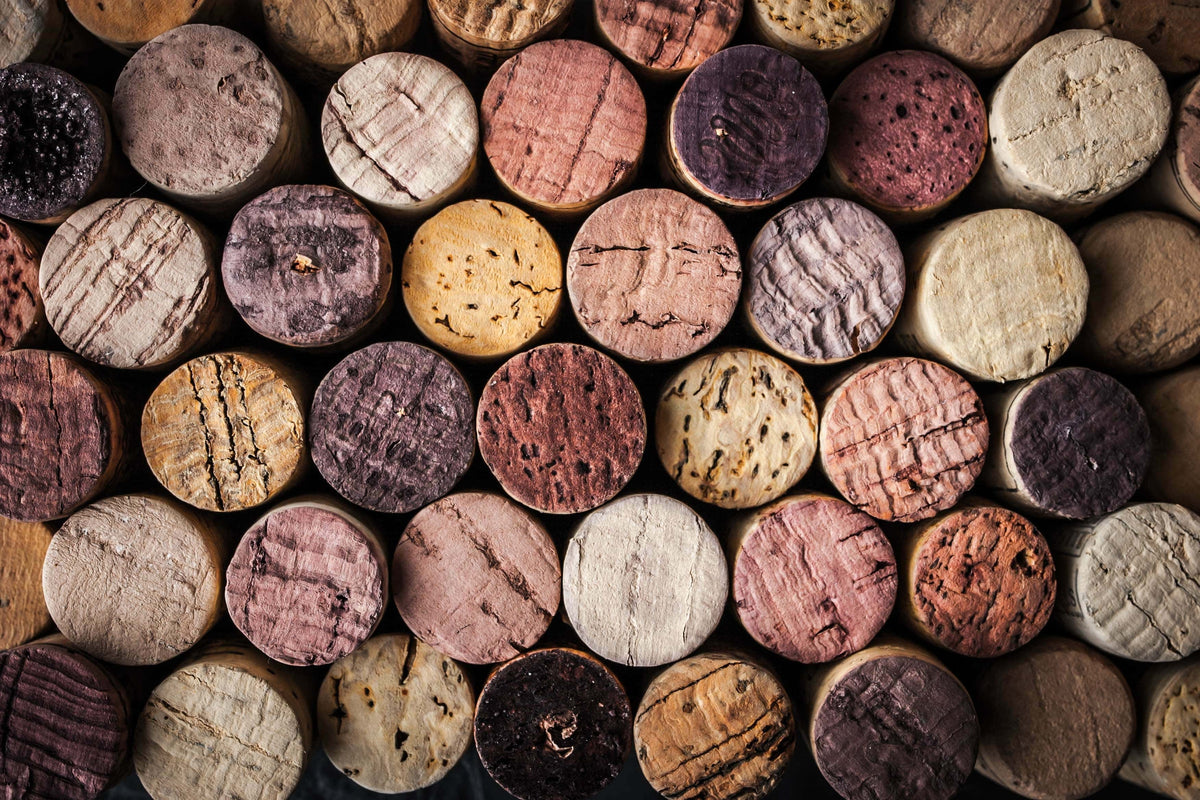 All About Resealing Corks, Plus 5 Fun Cork Facts – Coravin APAC